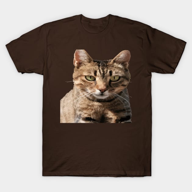 Portrait Of A Cute Tabby Cat With Direct Eye Contact Vector T-Shirt by taiche